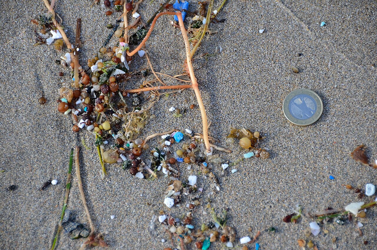 Microplásticos acumulados en una playa